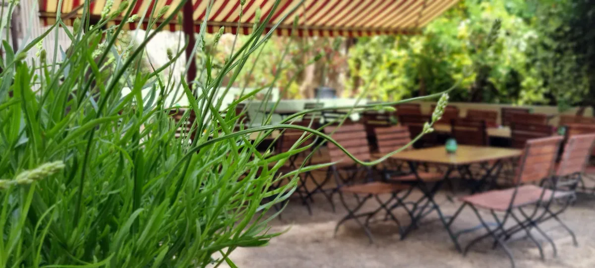 BookNoFees: Restoran – Monami – Vienna – Žao mi je, fotografija 1