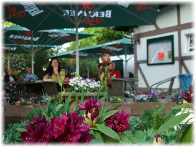 BookNoFees: Restoran – Restaurant Blattlaus – Berlin – Restoran Blattlaus, fotografija 3