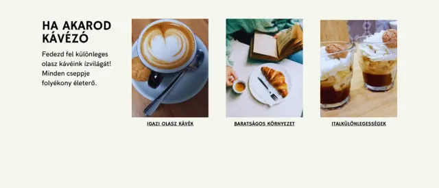 BookNoFees: kafić – Cherubino Espresso Bar – Budapest – Cherubino Espresso bar, fotografija 3