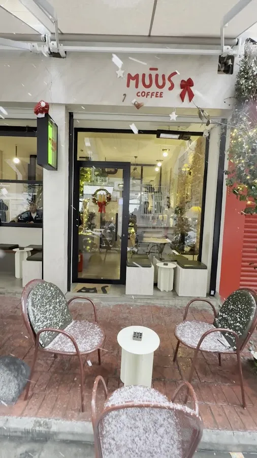 BookNoFees: kafić – MÜÜS Coffee – Istanbul – MÜÜS kava, fotografija 3