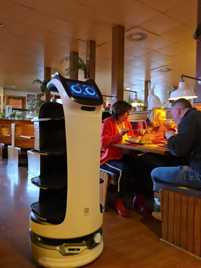 BookNoFees: Restoran – Connies Diner – Kamen – Konijin diner, fotografija 3