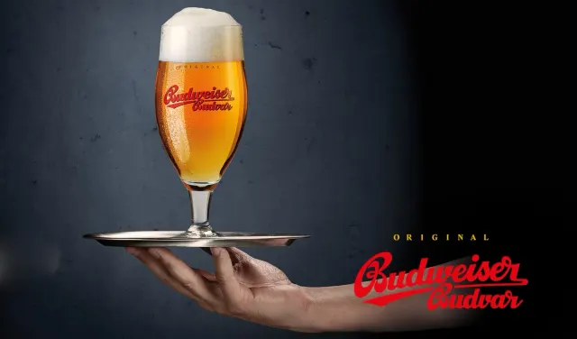 BookNoFees: Ratskeller Köpenick, Berlin