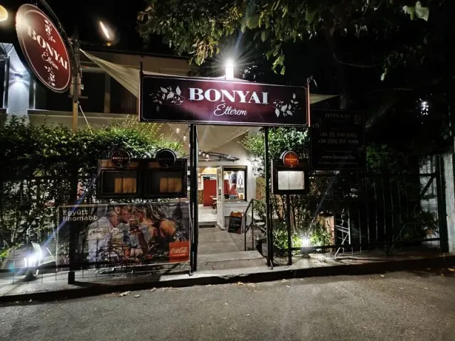 BookNoFees: Restoran – Bonyai Étterem – Budapest – Restoran Bonyai, fotografija 3