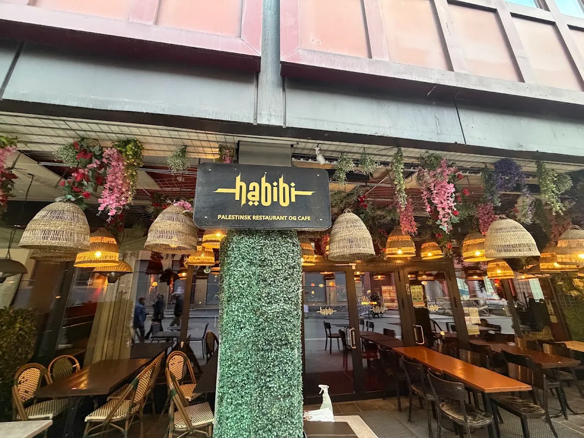 BookNoFees: Restoran – Habibi Restaurant – Oslo – Restoran Habibi, fotografija 1