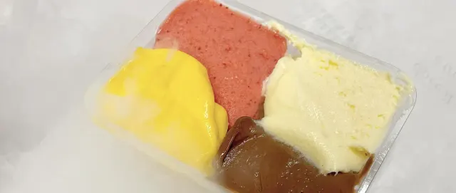 BookNoFees: Sladoled – Gelateria Fassi – Rome – Sladoledarnica Fassi, fotografija 3