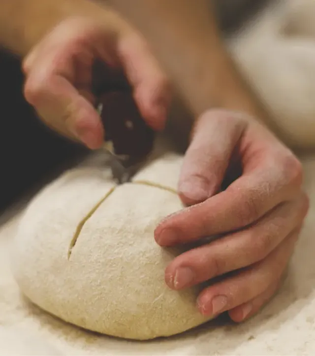 BookNoFees: Pekara – Triticum Micropanificio Agricolo – Rome – Triticum pekara u malom poljoprivrednom gospodarstvu, fotografija 3